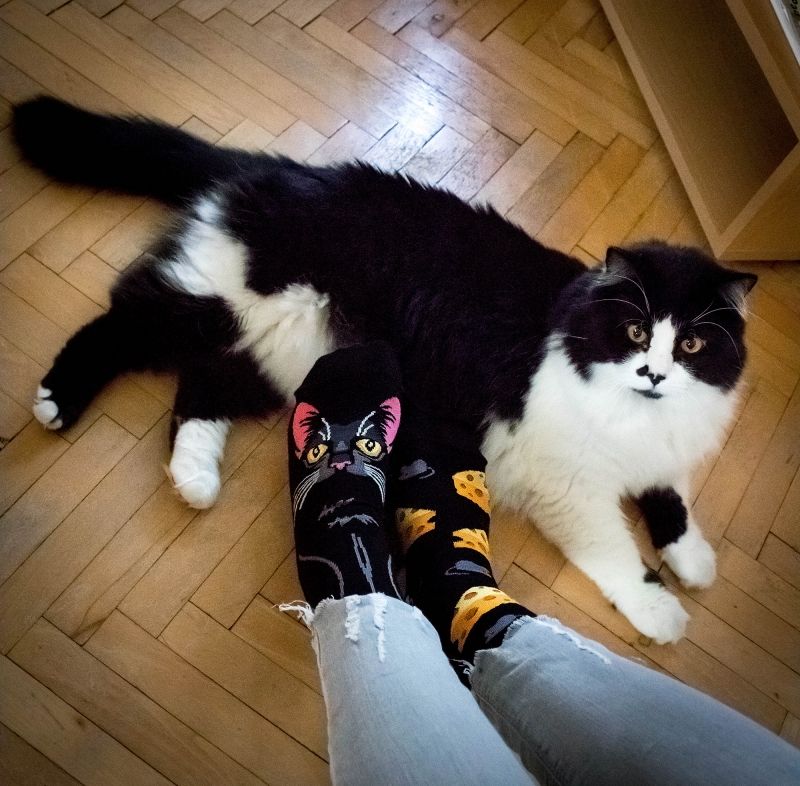 Chaussettes Arty Chanceux Le Chat