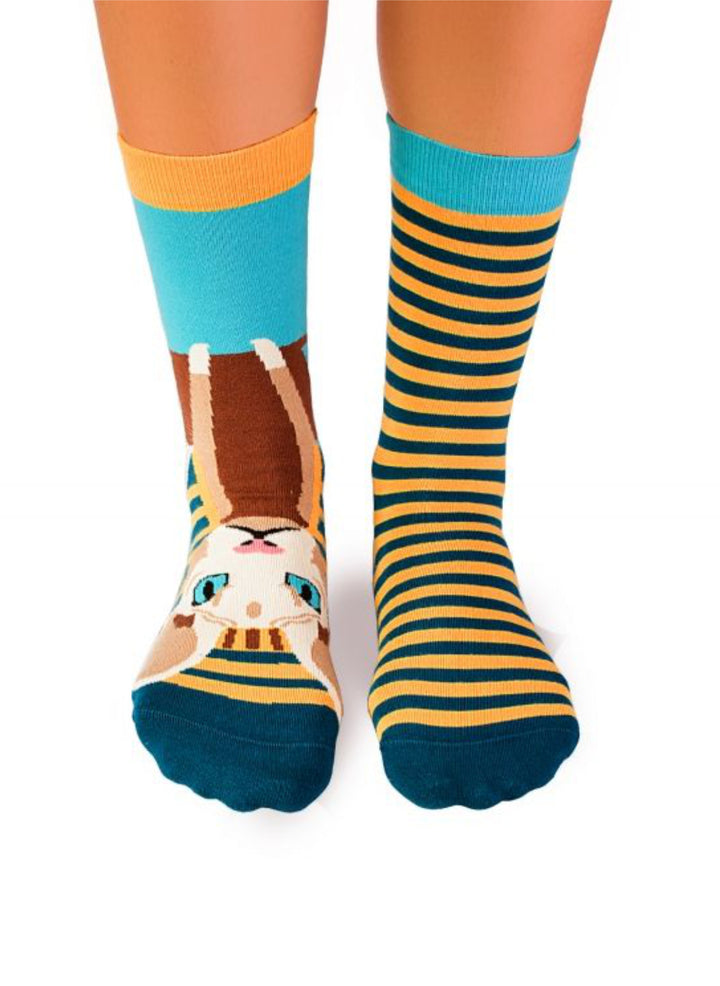 Chaussettes Arty Sphynx Le Chat - Pirin Hill
