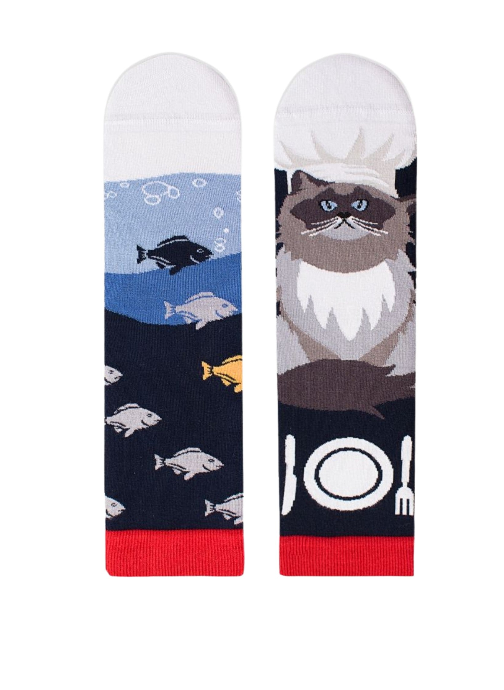 Chaussettes Arty Himalaya Le Chat