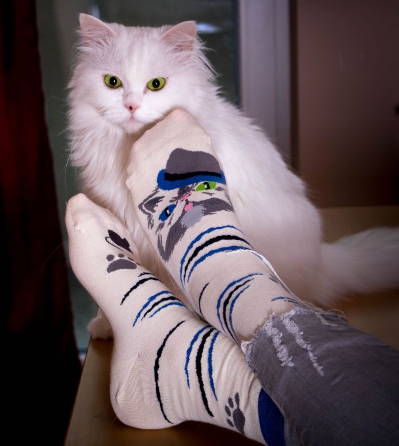 Chaussettes Arty Persan Le Chat