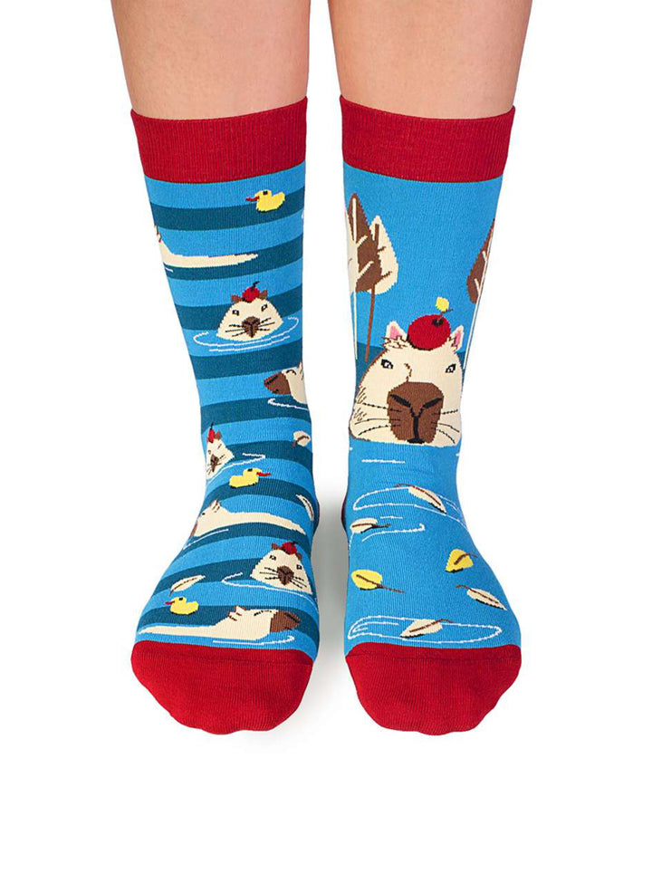 Chaussettes Arty Georges le Capybara - Turquoise - Pirin Hill