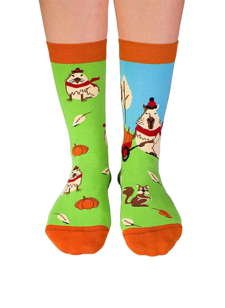 Chaussettes Arty Georges le Capybara - Vert - Pirin Hill