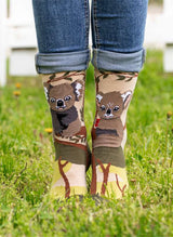 Chaussettes Arty Koalas Amoureux