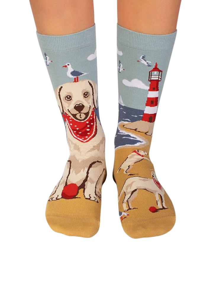 Chaussettes Arty Golden Retriever - Pirin Hill