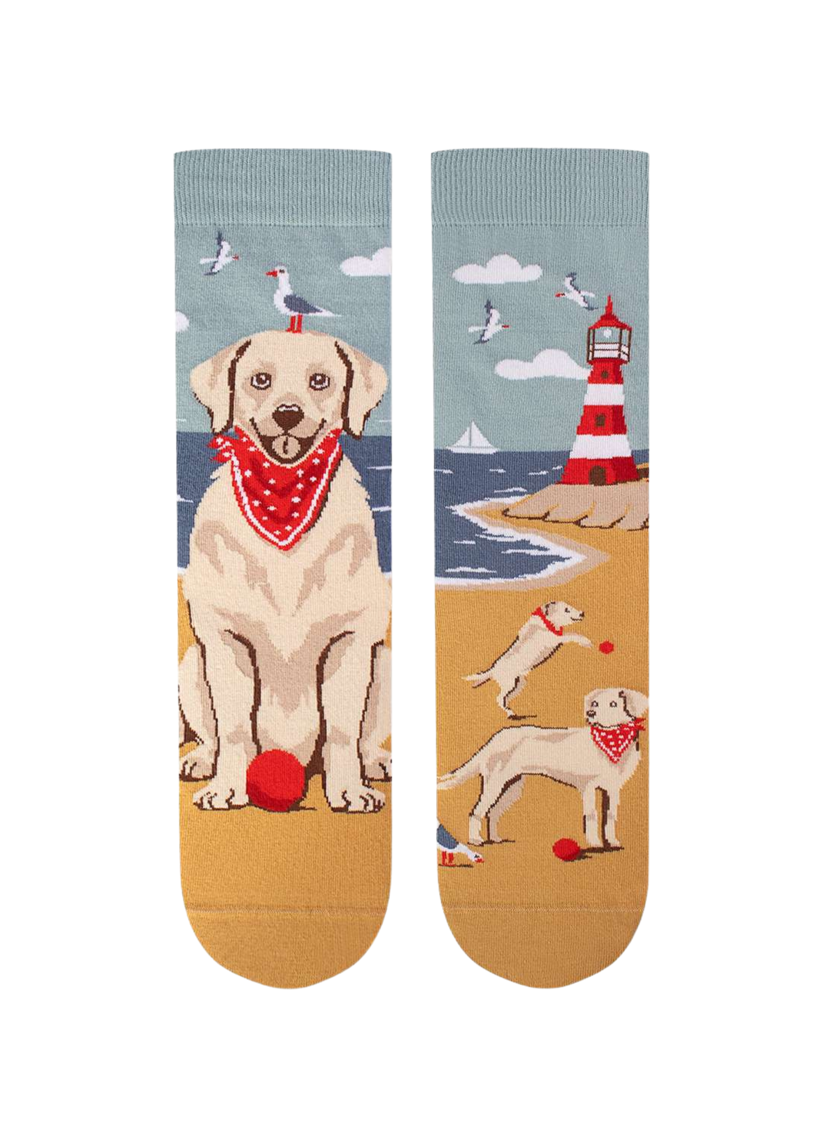 Chaussettes Arty Golden Retriever