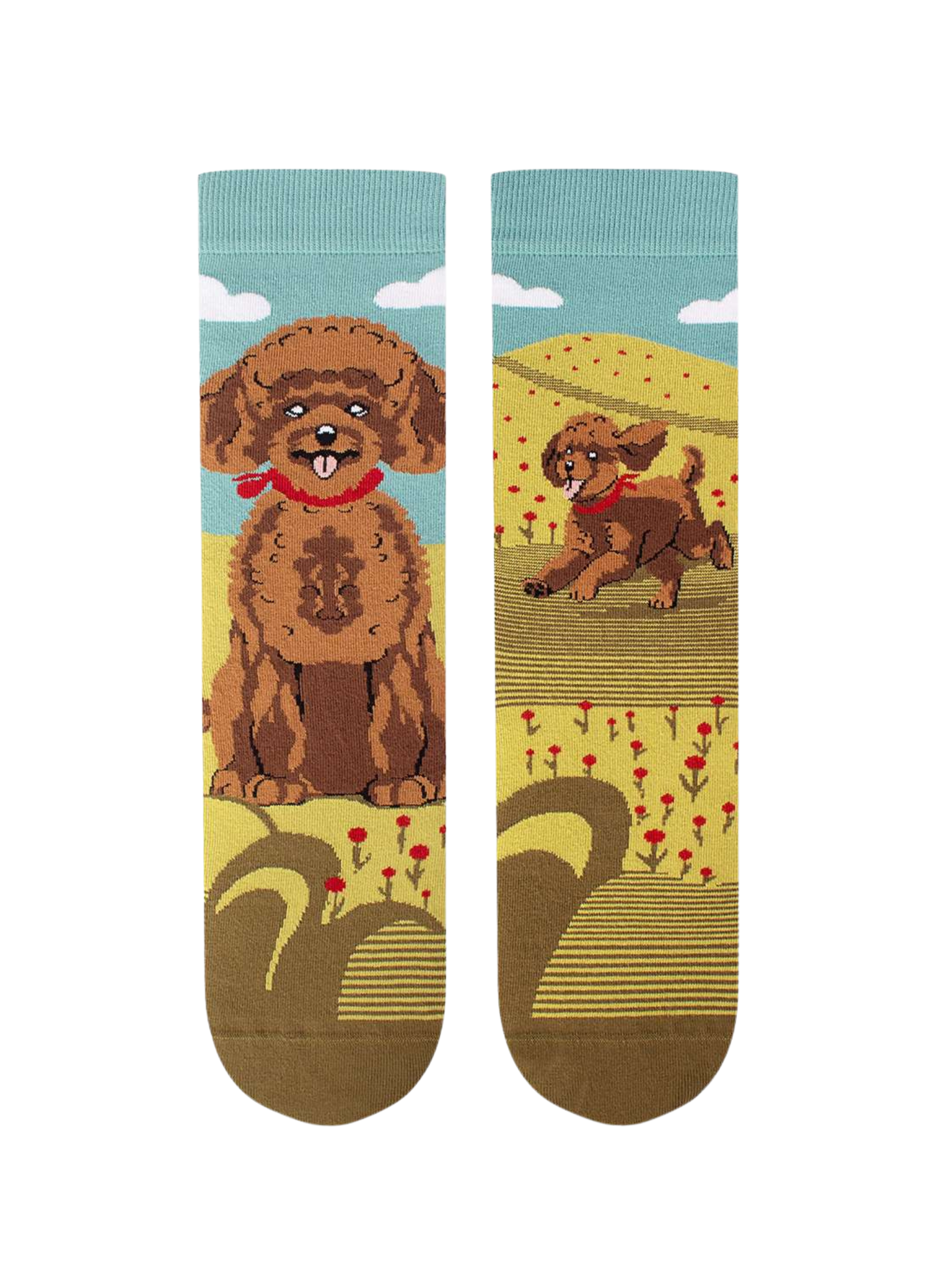 Chaussettes Arty Caniche