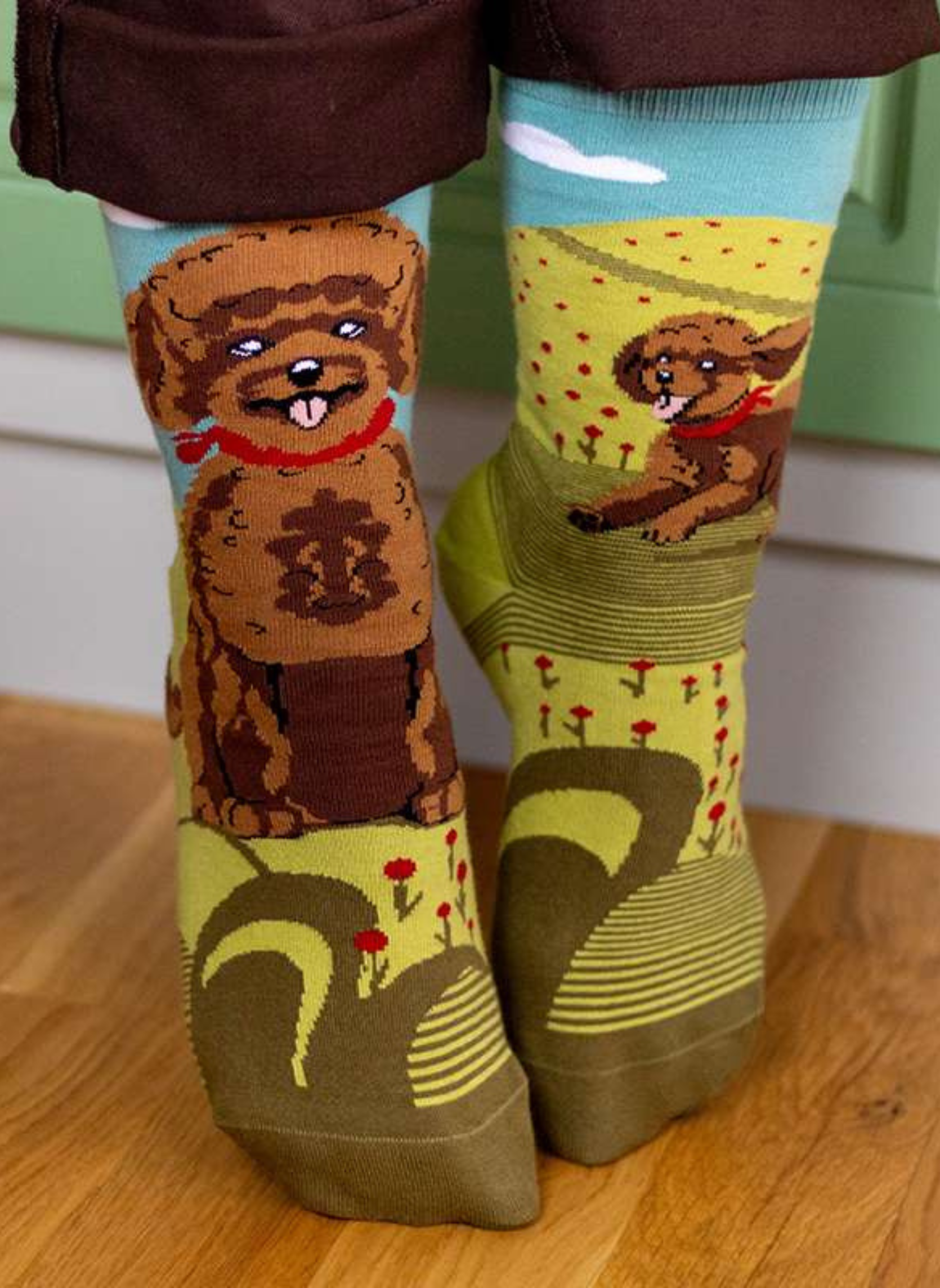 Chaussettes Arty Caniche