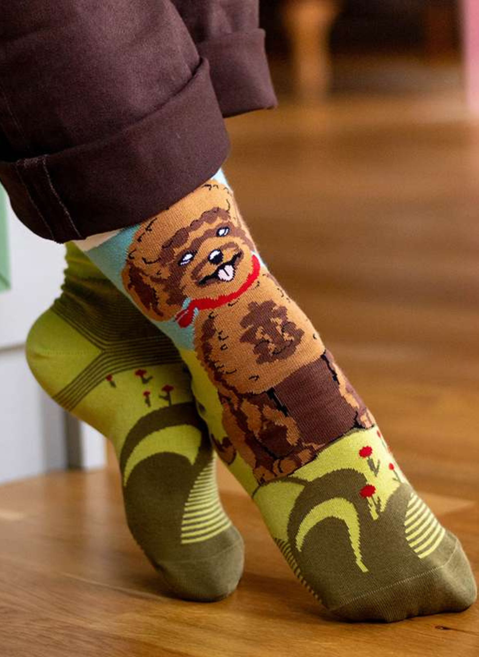 Chaussettes Arty Caniche
