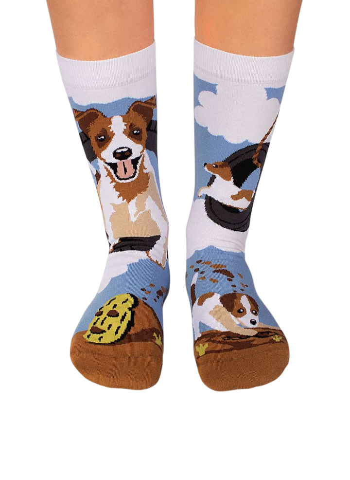 Chaussettes Arty Jack Russell - Pirin Hill