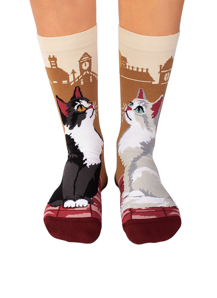 Chaussettes Arty Chats de Ville - Pirin Hill
