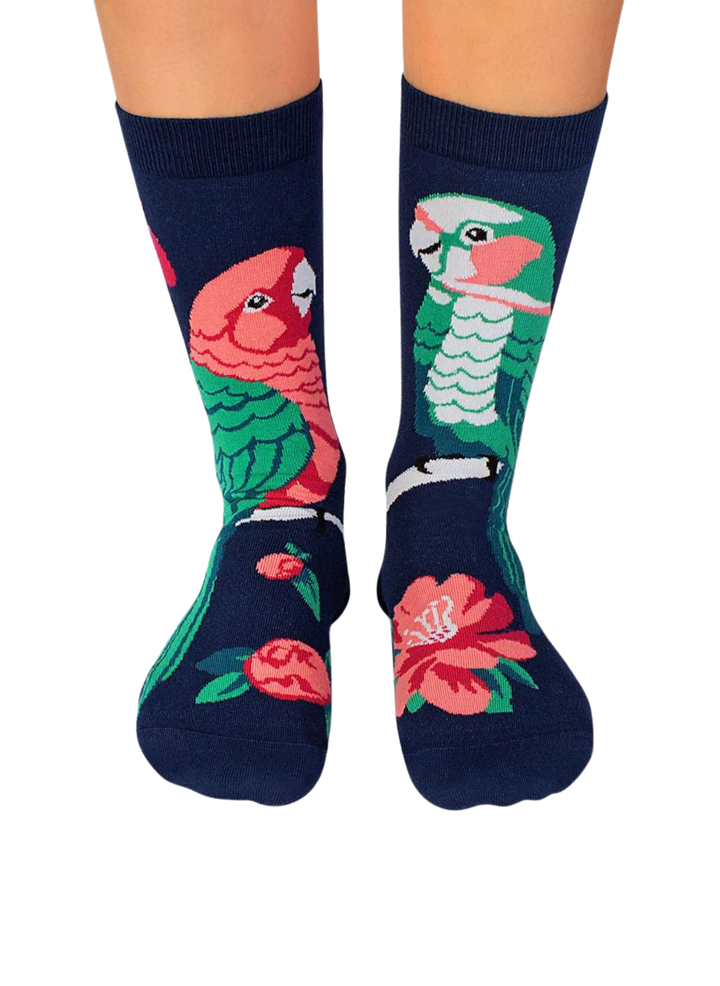 Chaussettes Arty Perroquets - Pirin Hill