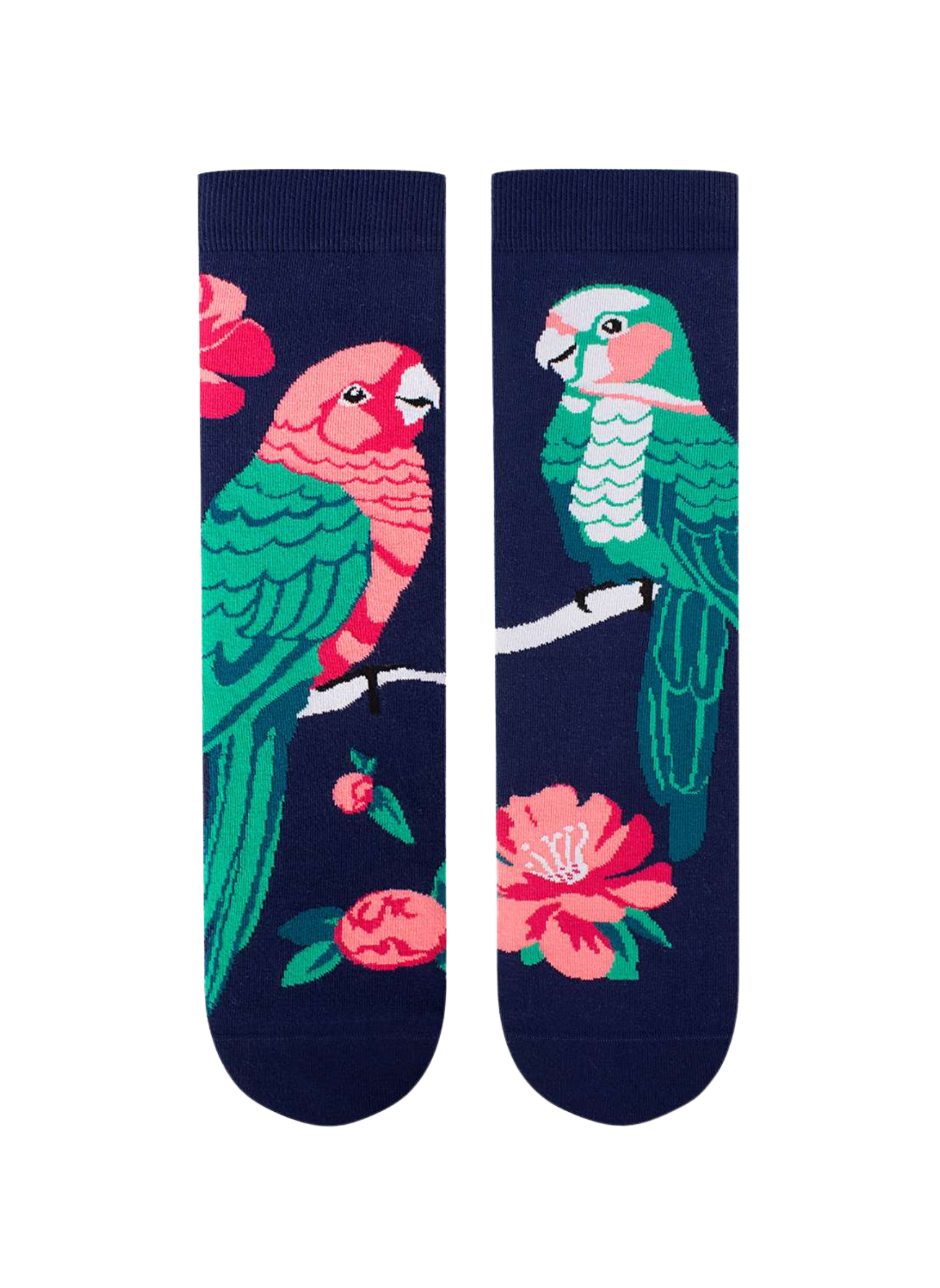 Chaussettes Arty Perroquets