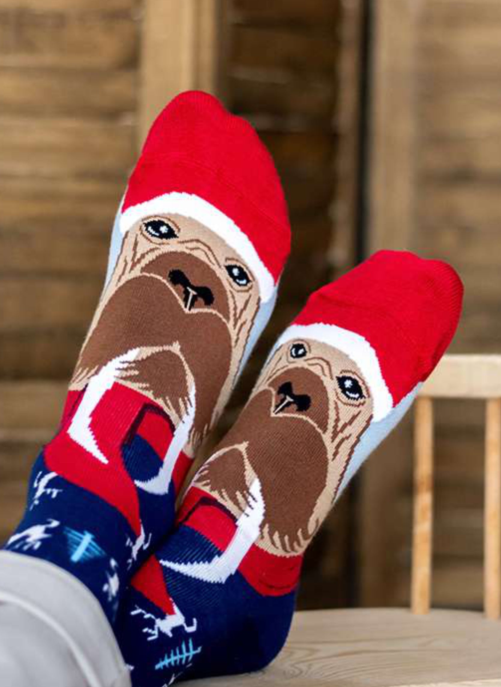 Chaussettes en Bambou Noël Morse