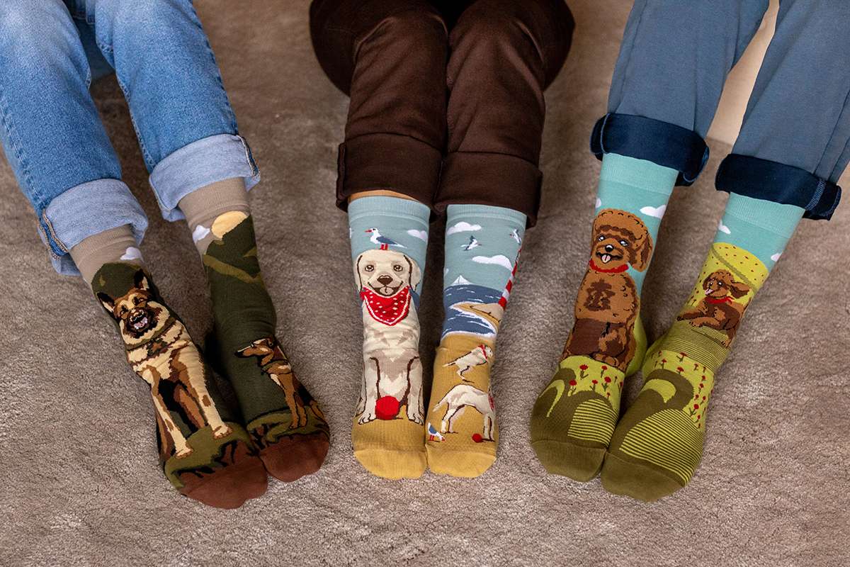 Coffret de 4 Paires de Chaussettes Arty Chiens