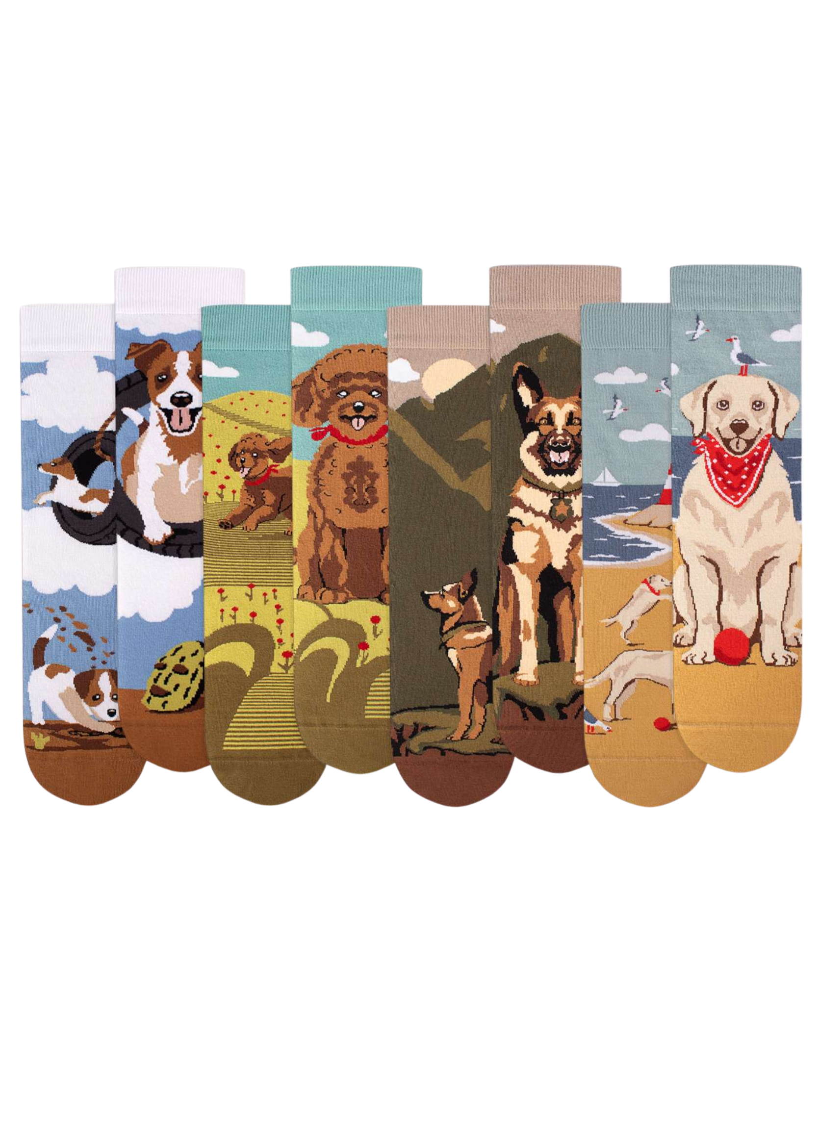 Coffret de 4 Paires de Chaussettes Arty Chiens