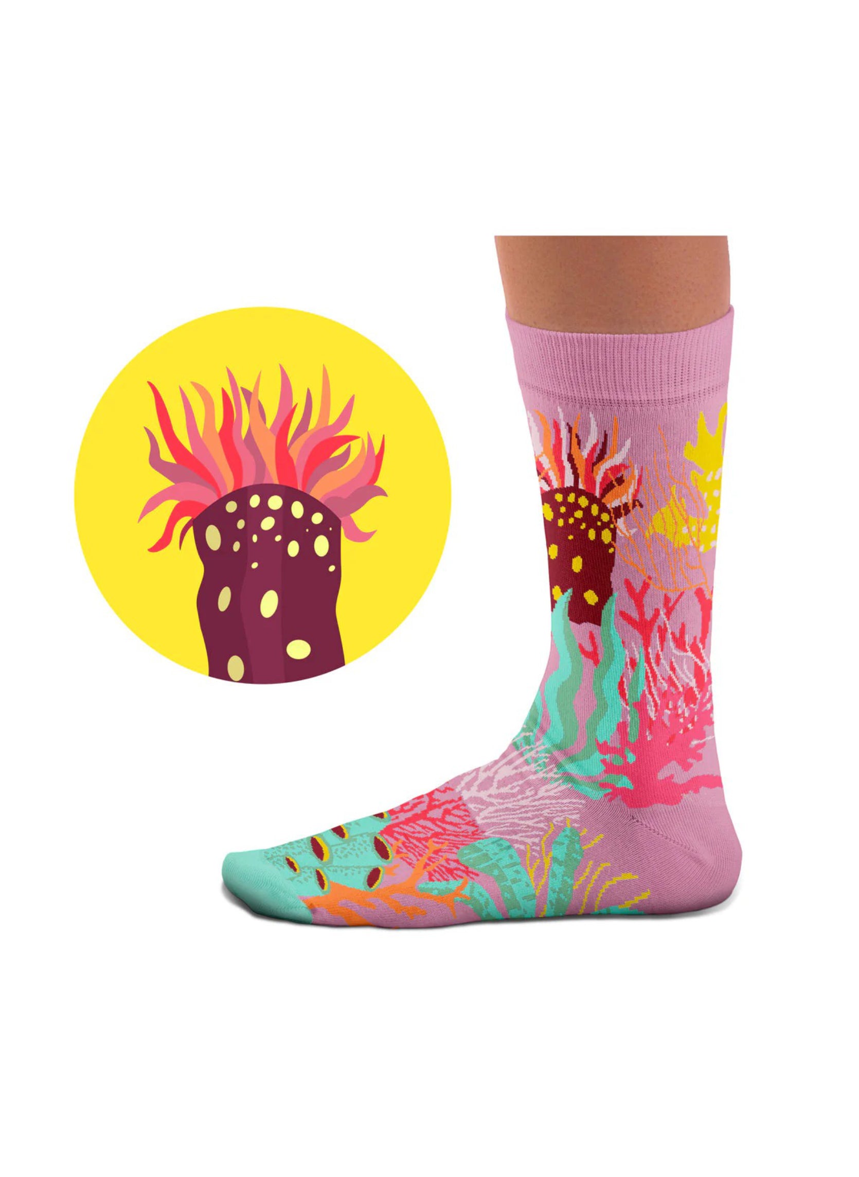 Chaussettes Coraux