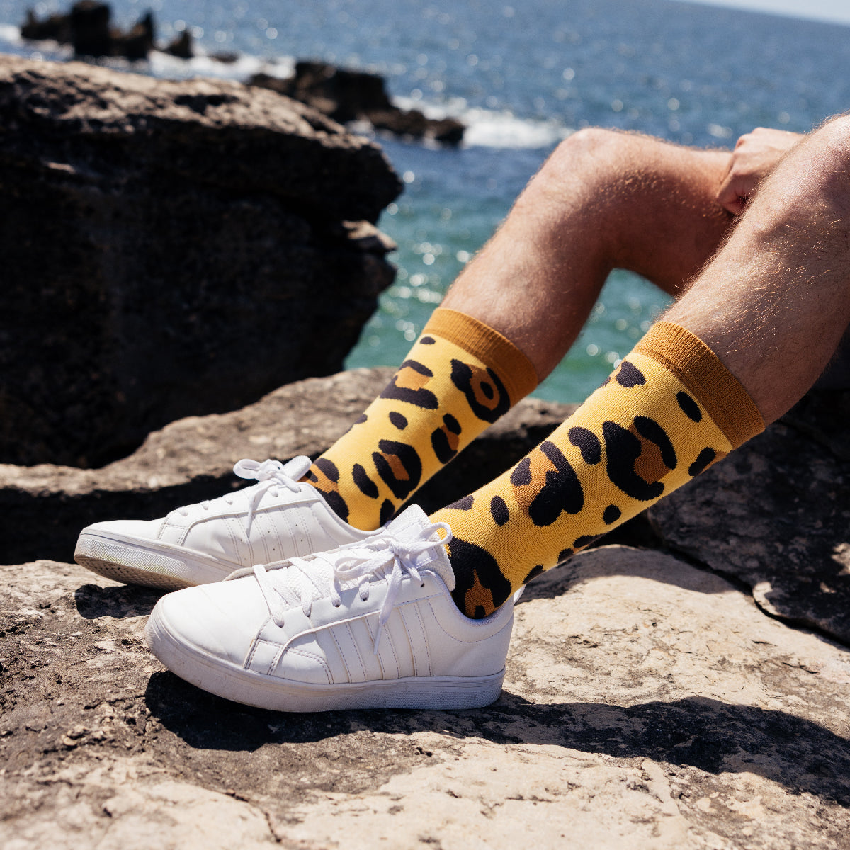 sock_affairs_photography_jaguar.jpg