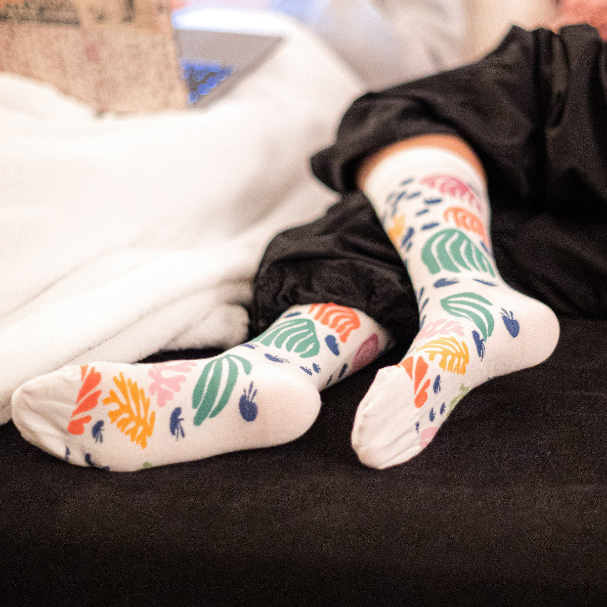 sock_affairs_photography_matisse_parakeet.jpg