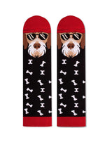 Chaussettes Arty Fox Terrier