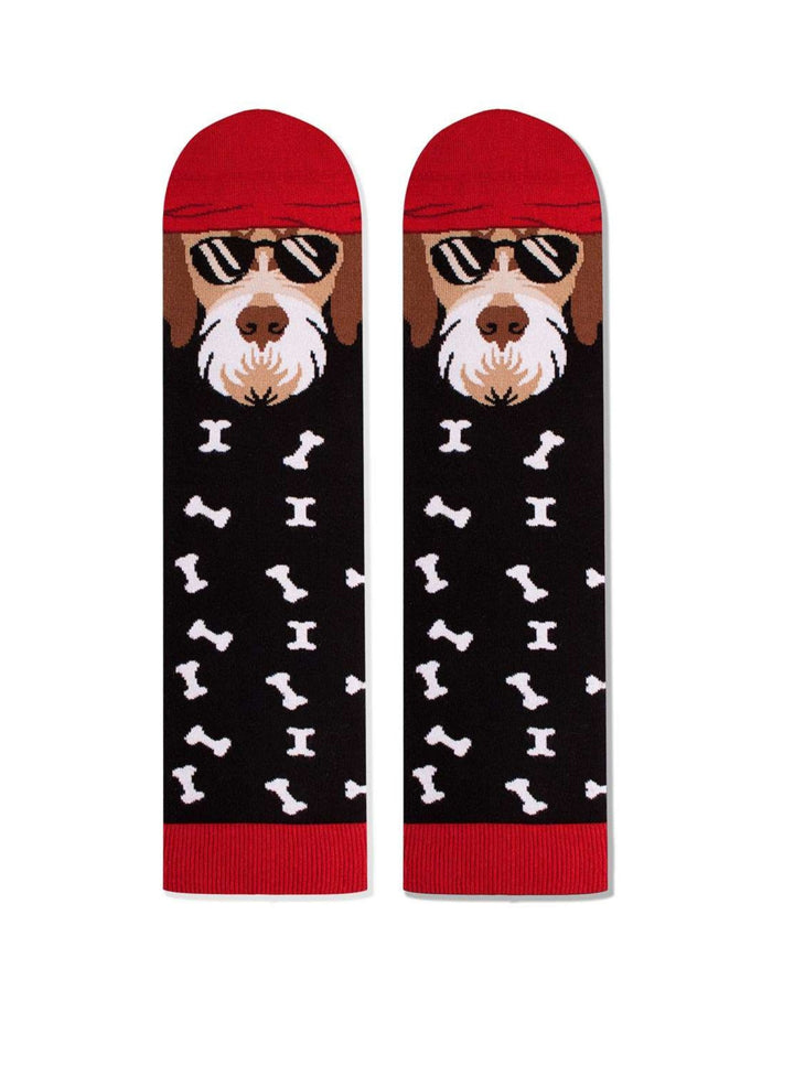 Chaussettes Arty Fox Terrier - Pirin Hill