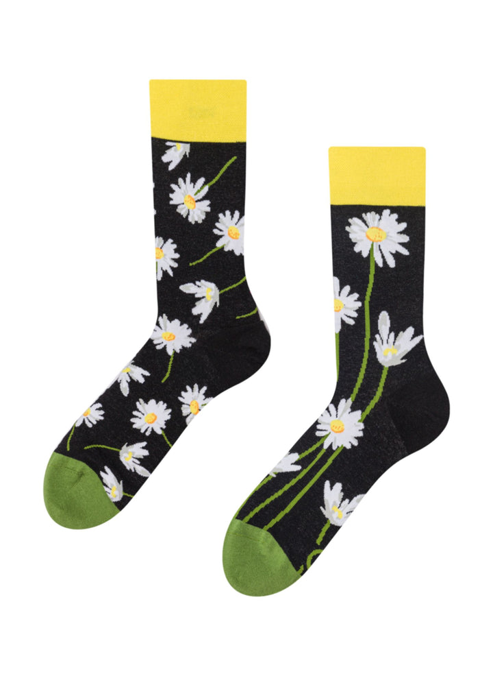 Chaussettes Marguerites dans la Nuit - Dedoles