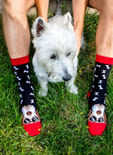 Chaussettes Arty Fox Terrier