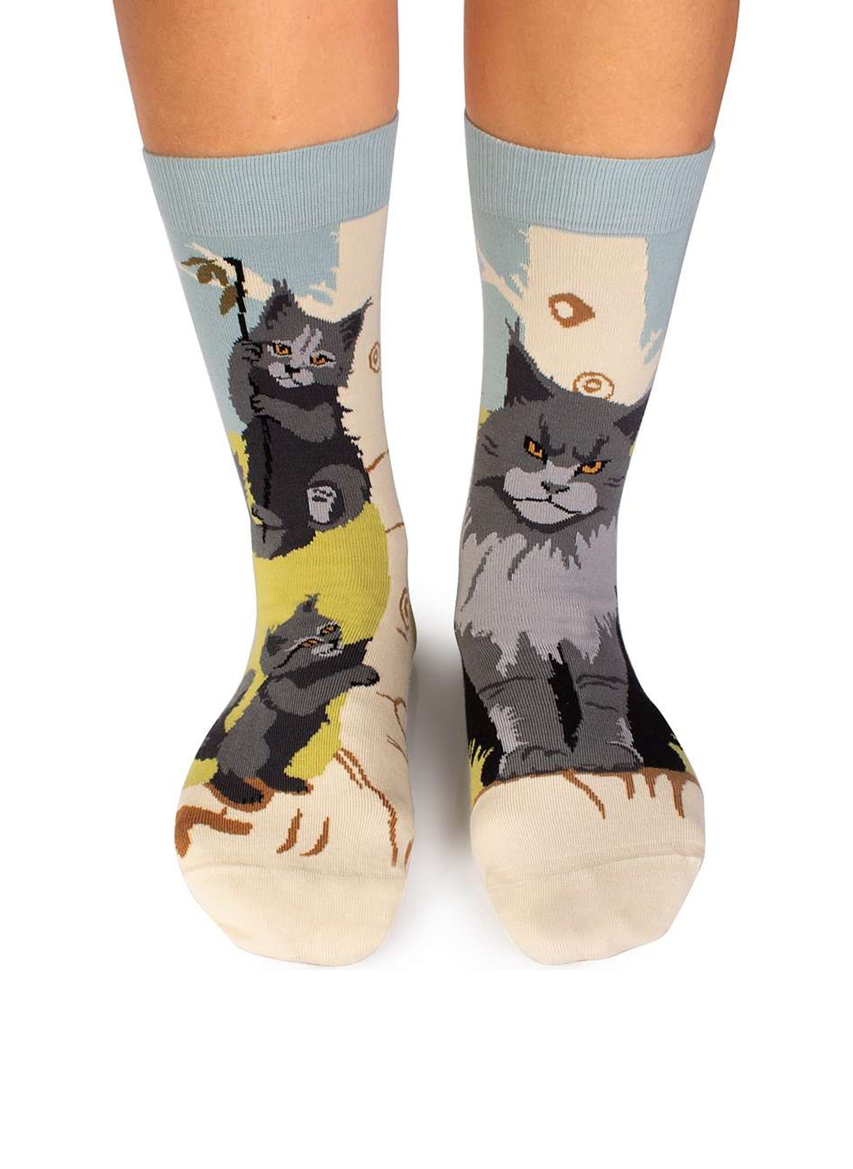 Chaussettes Arty Chats Maine Coon - Pirin Hill