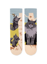 Chaussettes Arty Chats Maine Coon - Pirin Hill — à plat