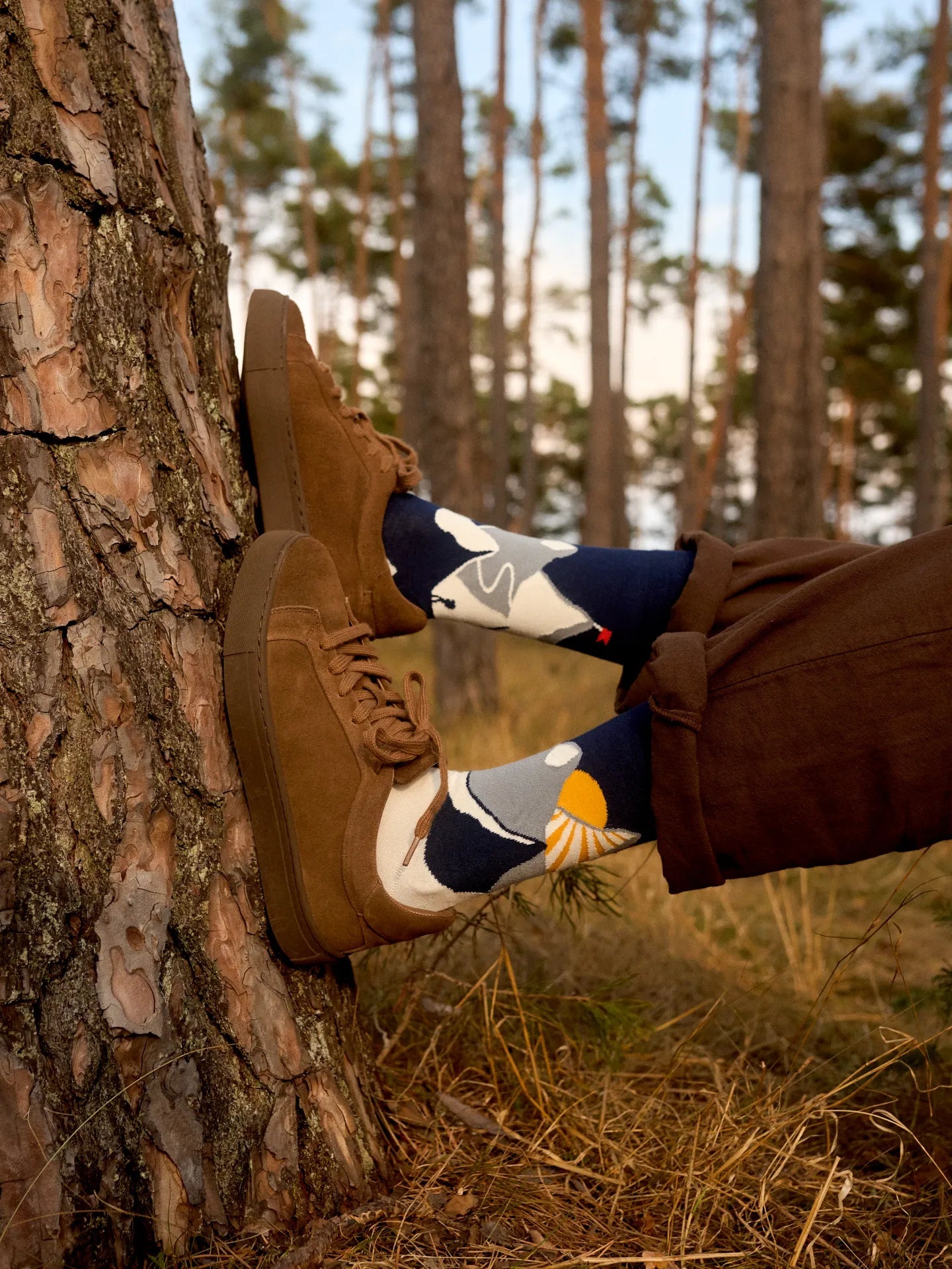 Chaussettes Bambou Coucher de Soleil sur la Montagne - Dedoles