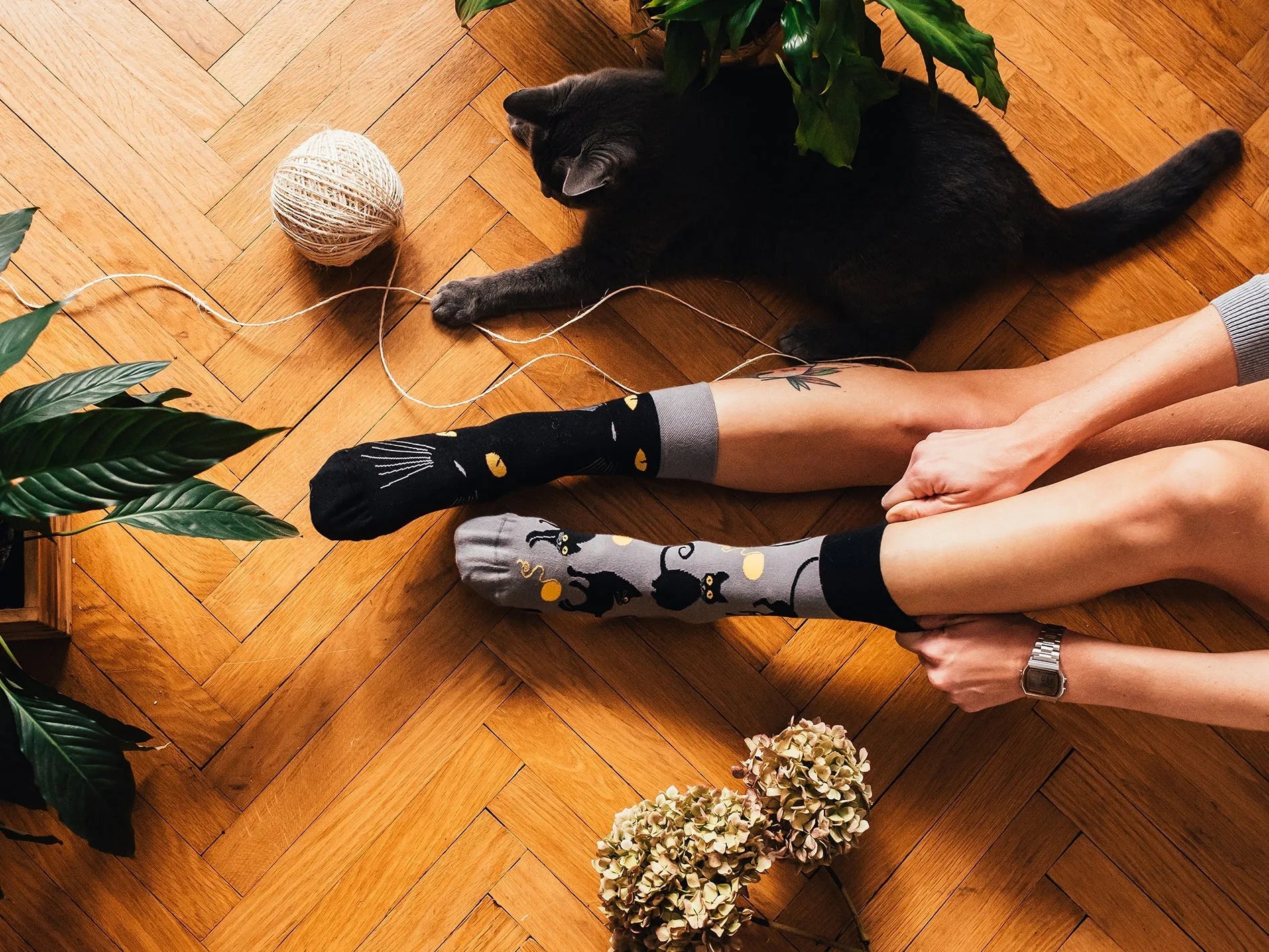 Chaussettes Les Yeux de Chat - Dedoles