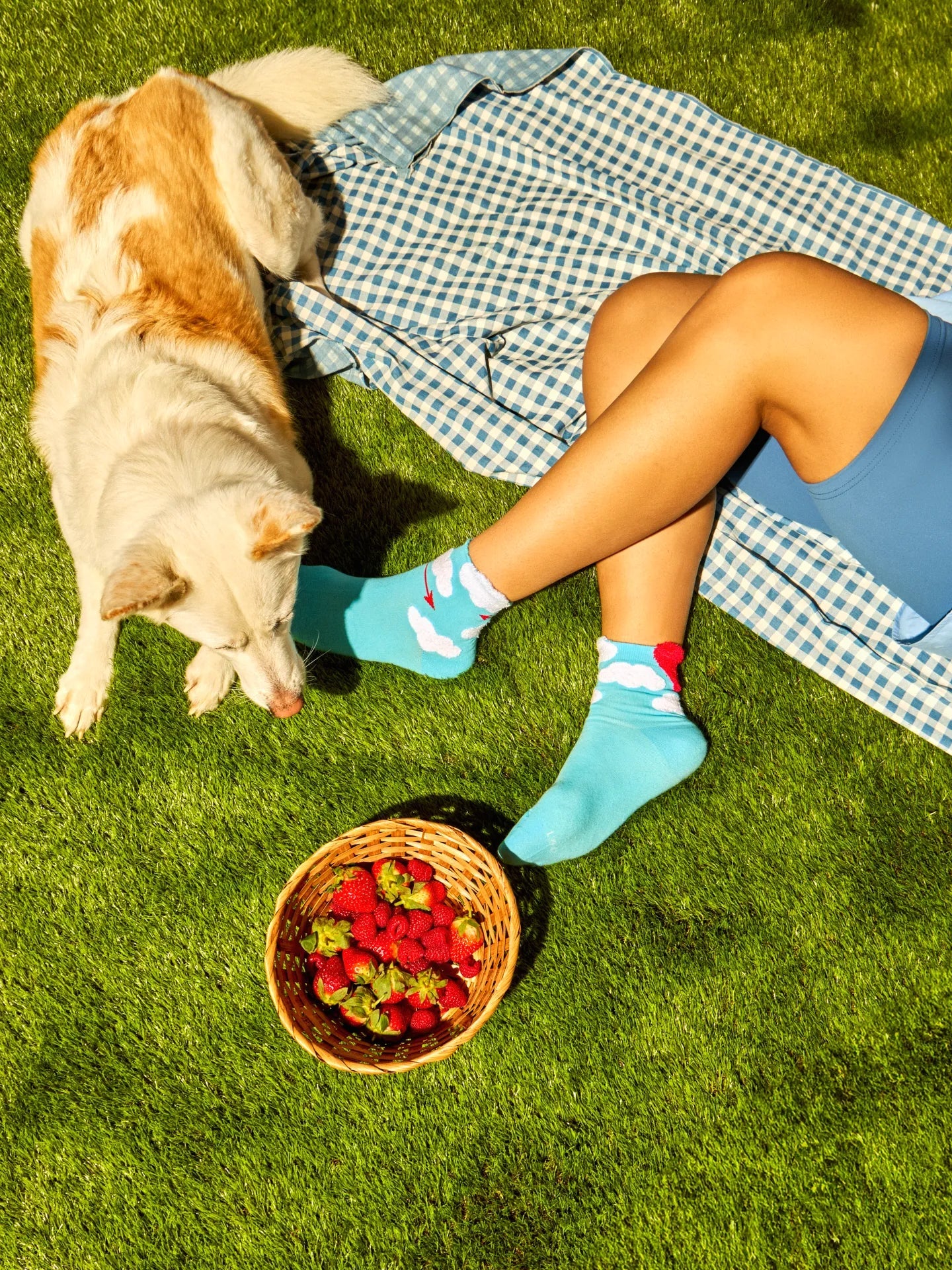 Chaussettes Courtes Cutecore Amour Dans L'Air - Dedoles