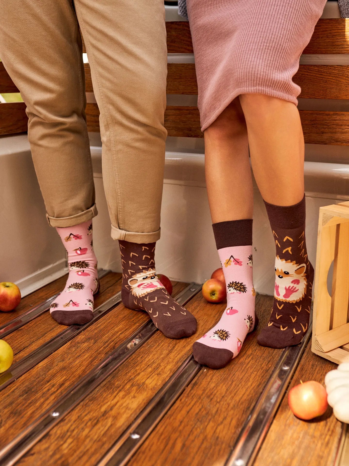 Chaussettes Hérissons - Dedoles