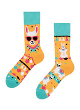 Chaussettes Lamas sympas - Dedoles