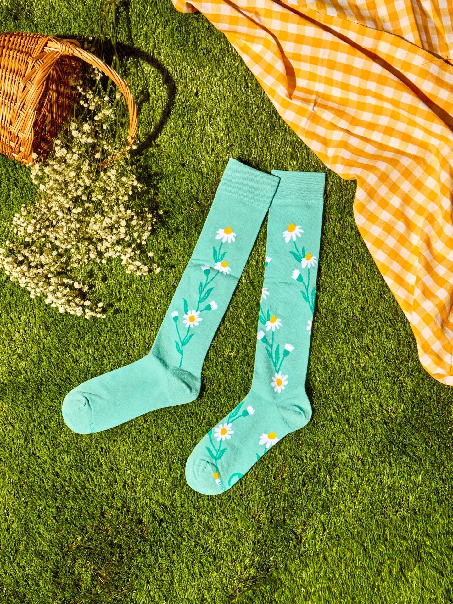 Chaussettes Mi-Bas Camomille Turquoise - Dedoles