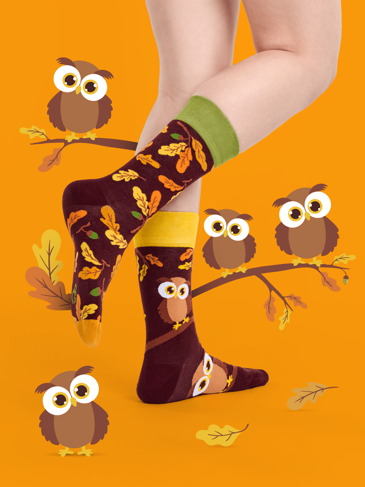 Le Bar a Chaussettes - Chaussettes Hibou Curieux