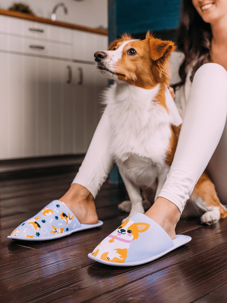 Le Bar a Chaussettes - Pantoufles Chien Corgi