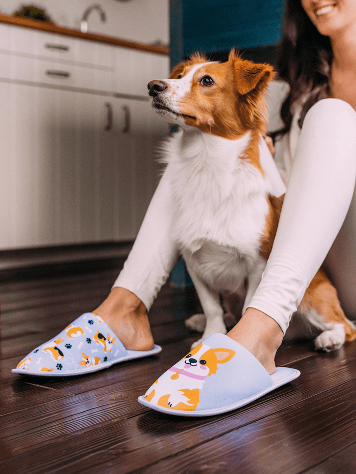 Le Bar a Chaussettes - Pantoufles Chien Corgi