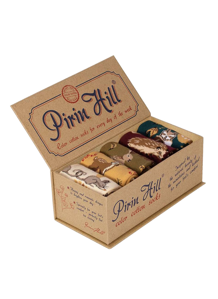 Coffret de 5 Paires de Chaussettes Coton Bio Automne - Pirin Hill