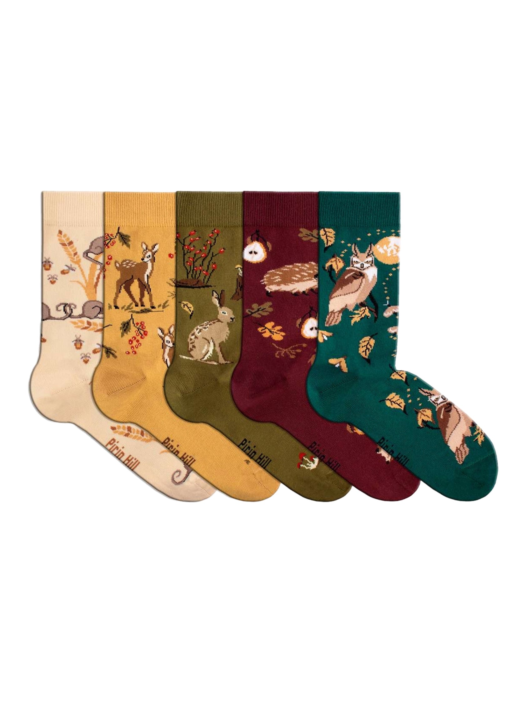 Coffret de 5 Paires de Chaussettes Coton Bio Automne