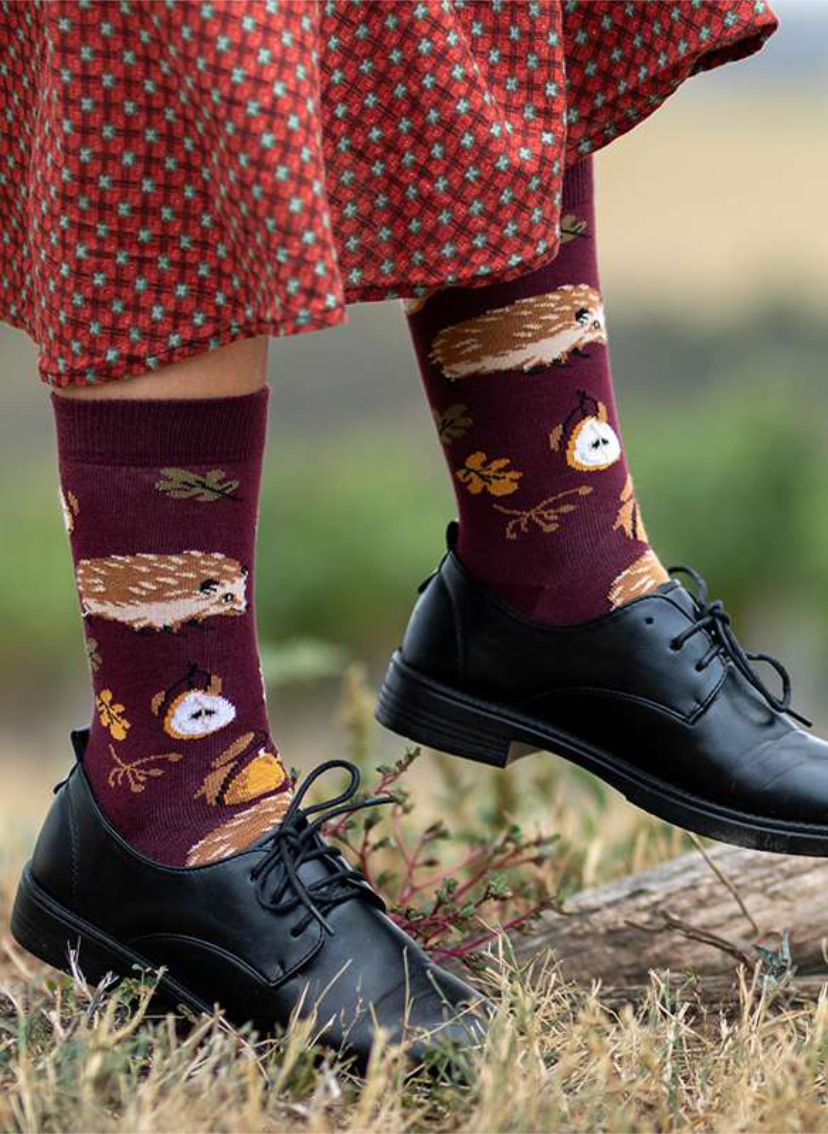 Coffret de 5 Paires de Chaussettes Coton Bio Automne