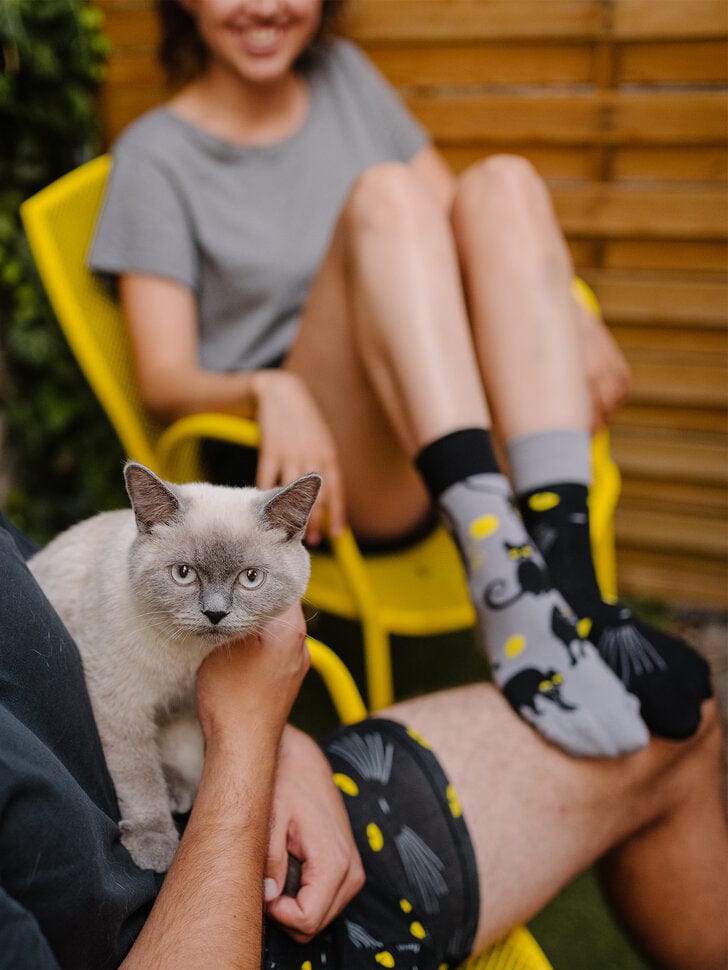 Le Bar a Chaussettes - Chaussettes Chats Va ?