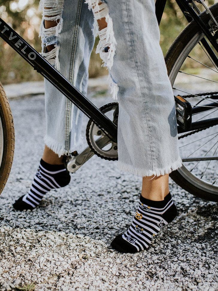 Le Bar a Chaussettes - Socquettes Chats et Rayures