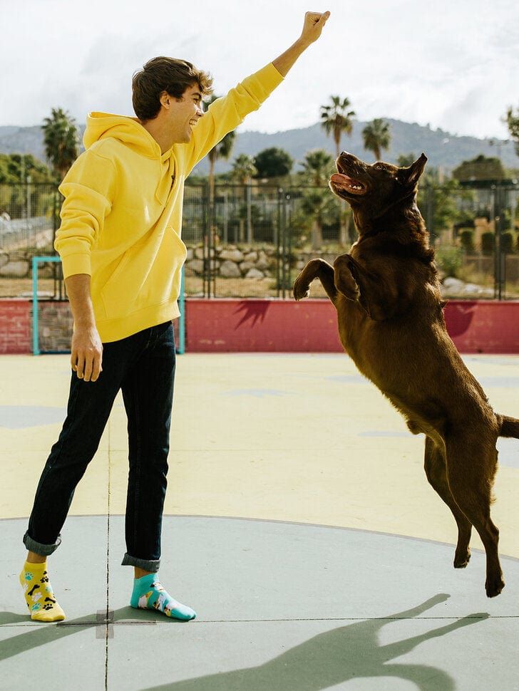 Le Bar a Chaussettes - Socquettes Chiens Heureux