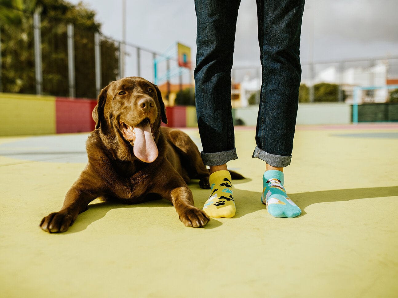 Le Bar a Chaussettes - Socquettes Chiens Heureux
