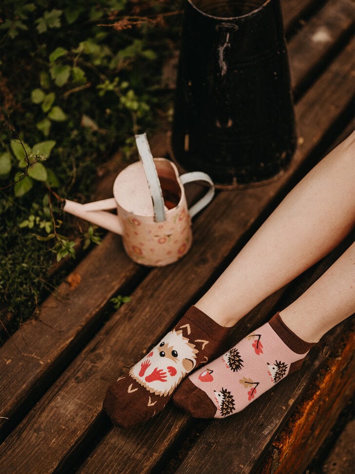 Le Bar a Chaussettes - Socquettes Hérissons